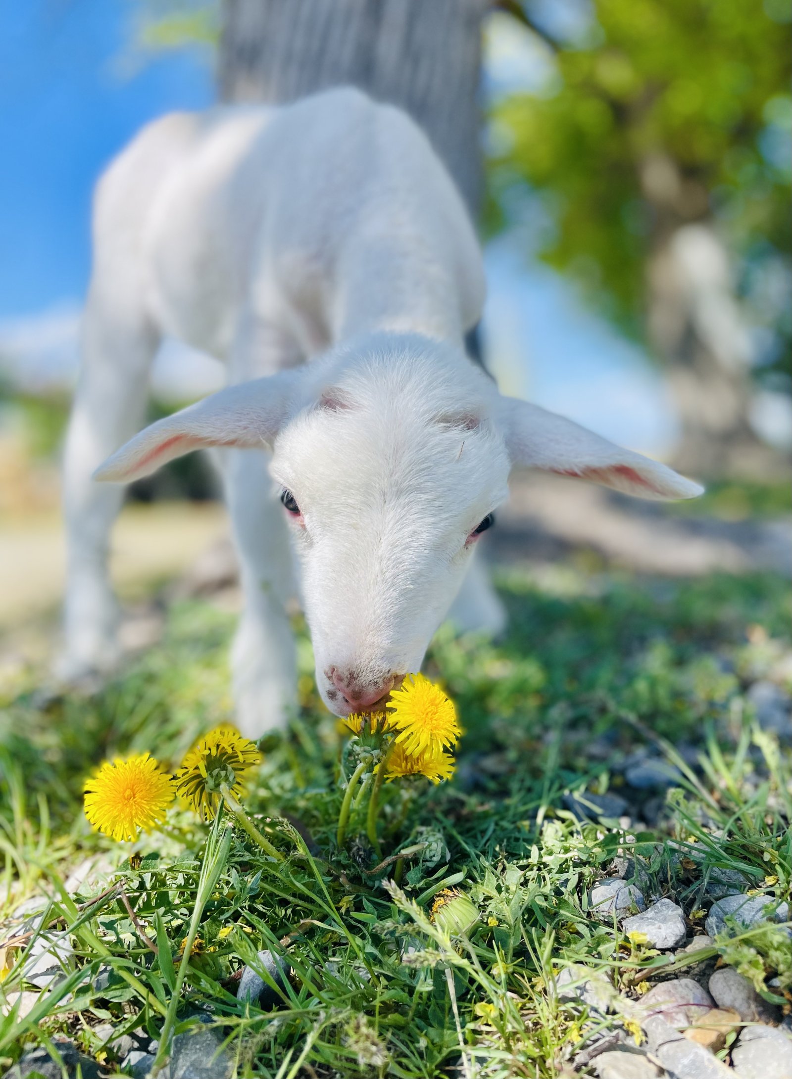 Springtime Adventure Begins