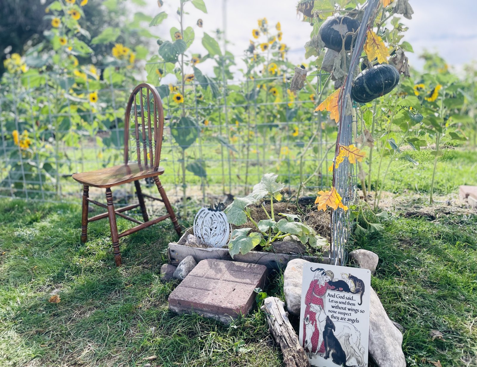 Sunflower Serenity Garden